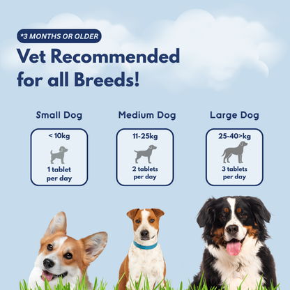 Probiotics + Enzymes Chews For Dogs