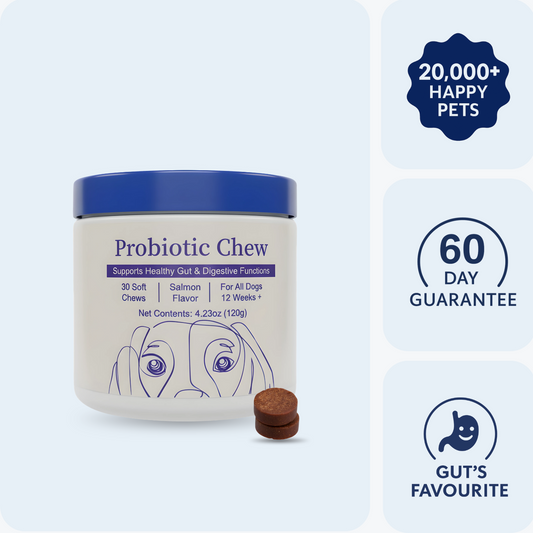 Probiotics + Enzymes Chews For Dogs