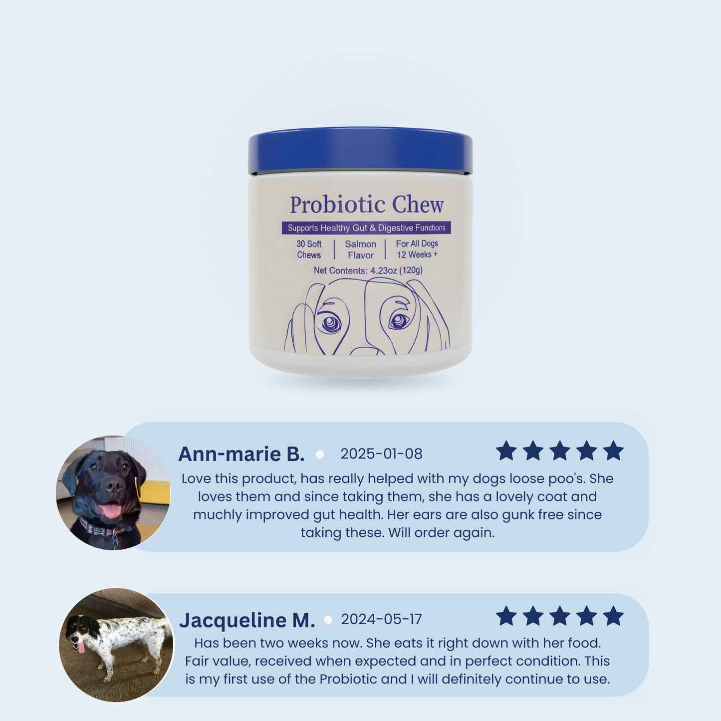 Probiotics + Enzymes Chews For Dogs